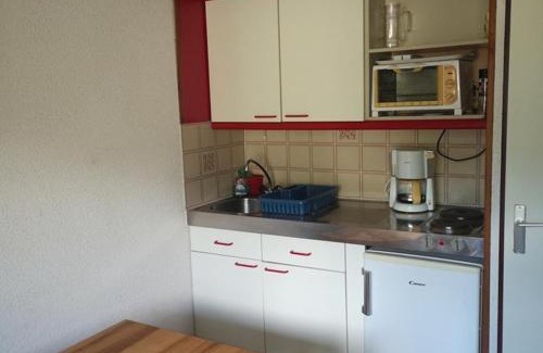 Laveissiere Apartment | Studio cabine avec balcon sud-est au Lioran - FR-1-787-100