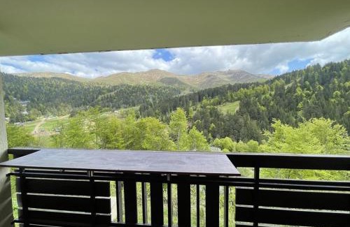 Laveissiere Apartment | Studio cabine cosy au pied des pistes, animaux acceptés - FR-1-787-9