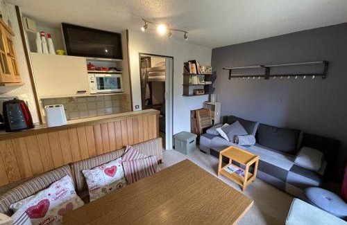 Laveissiere Apartment | Studio cabine cosy au pied des pistes, animaux acceptés - FR-1-787-9