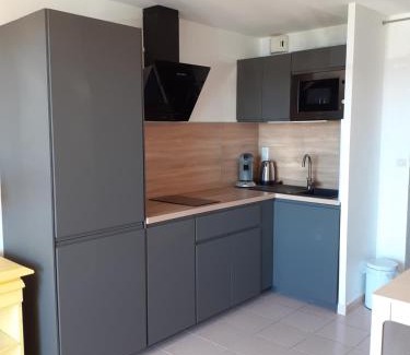 Banyuls-sur-Mer Apartment | Studio cabine Thalacap Vue mer