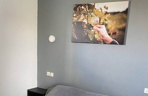 Cazaubon Apartment | Studio-Classic-Wet room-Garden view-n° 12