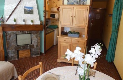 Pla d'Adet Apartment | Studio cosy 4 pers, St Lary Soulan, pied des pistes, parking, TV, kitchenette équipée - FR-1-457-324