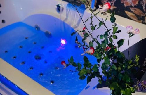 Montaigu-le-Blin Apartment | Studio cosy avec baignoire balnéo près de Vichy - FR-1-489-520