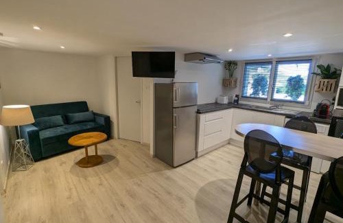 Dinoze Apartment | Studio cosy avec terrasse pr. à Epinal, parking compris - FR-1-589-661