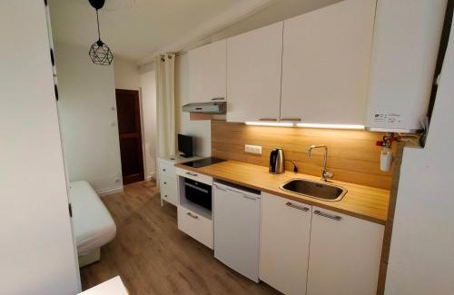 Croix Rousse Apartment | Studio Croix Rousse