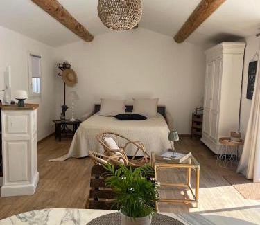 Fontaine-de-Vaucluse Apartment | Studio de charme avec piscine
