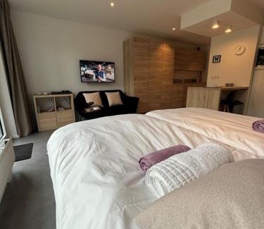 Spa Apartment | Studio de l'Avenue
