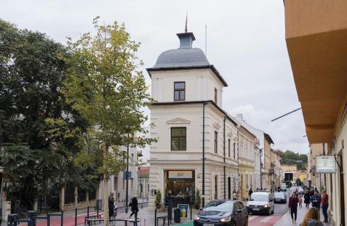 Old Town Apartment | Studio Elegant, Locație Centrală