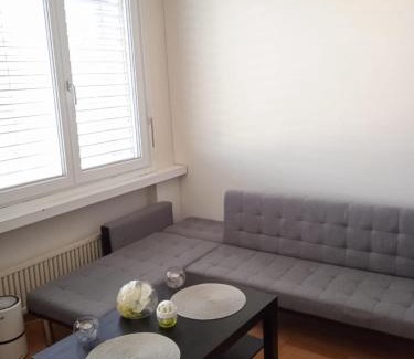 Zug Apartment | Studio flat in the heart of Zug, ideal for solo travellers