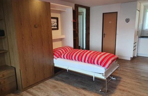 Emmetten Apartment | Studio for 2-4 guests with balcony and panorama view