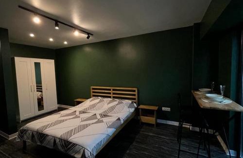Moinesti Apartment | Studio G1