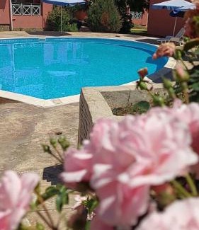 Tankovo Hotel | Studio in Sunny day 6
