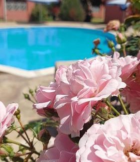 Tankovo Hotel | Studio in Sunny day 6