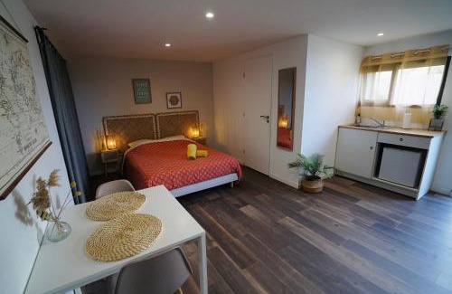 Castelnau-de-Guers Apartment | Studio indépendant a 20min des plages