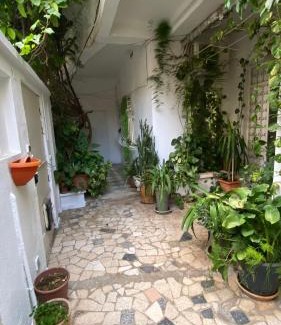 Algiers Apartment | studio la falaise