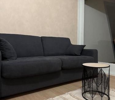 Malbuisson Apartment | Studio « Le petit montagnard »
