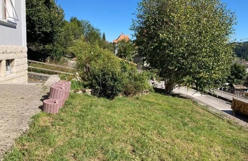 Tramelan Apartment | Studio Lumineux, Calme au Centre du Village, Proches de Piscine, et Commerces