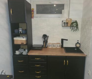 Brezovice Apartment | Studio lux Strpce