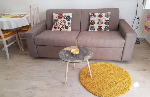 Mrcevac Apartment | Studio