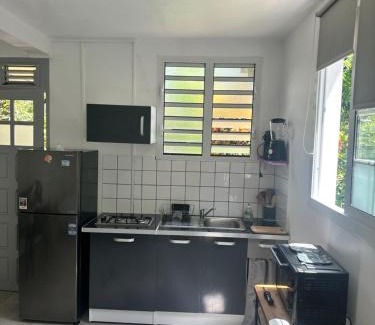 Ducos Apartment | Studio meublé climatisé