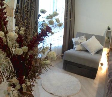 Lisina Apartment | Studio MIPS S58 Milmari Resort Kopaonik