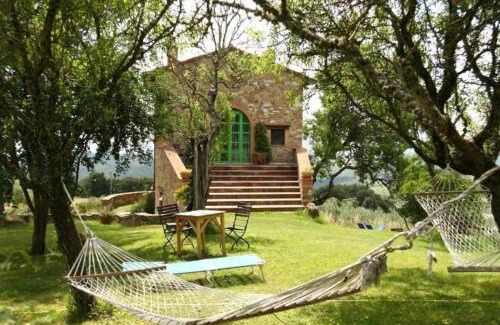 Monte Vibiano Vecchio Apartment | Studio Mit Balkonblick Ins Bergige Grüne