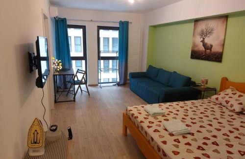 Drumul Taberei Apartment | Studio Moghioros rezidence 2