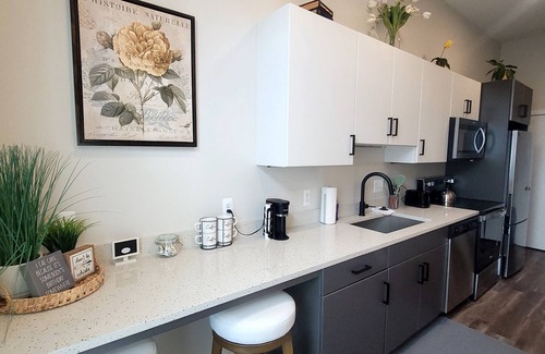 Detroit Apartment | Studio Monthly & Daily Rental For Traveling Professionals,Corporate & Student's