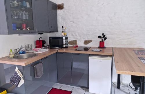Bonnemain Apartment | STUDIO NID COSY avec piscine