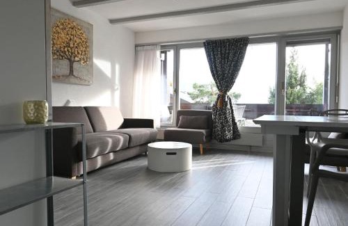 Ovronnaz Apartment | Studio Orion RS6 by Interhome