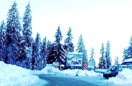 Stoykite Apartment | Studio PANORAMA MOUNTAINE, near the ski slope Pamporovo-Stoykite