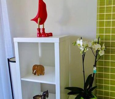 Anse Marcel Apartment | studio :paradise beach