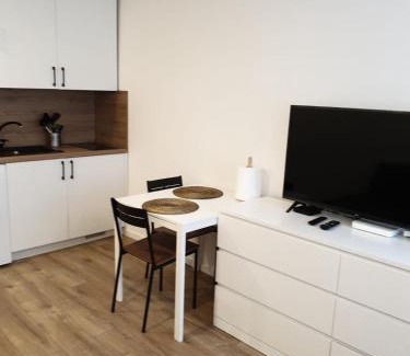 Zarasai Apartment | Studio rent in Zarasai
