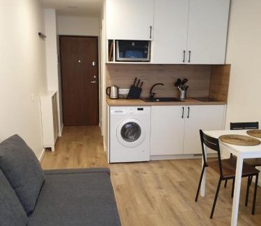 Zarasai Apartment | Studio rent in Zarasai