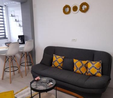 Tulcea Apartment | Studio