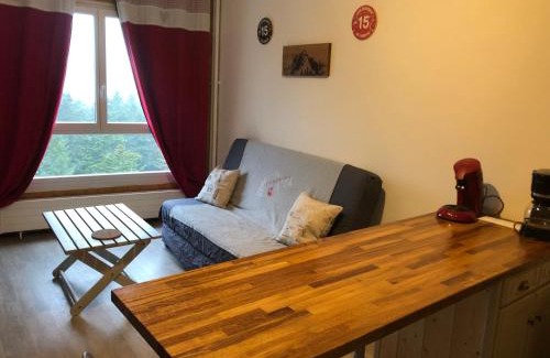 Laveissiere Apartment | studio tout confort au pied des pistes du lioran
