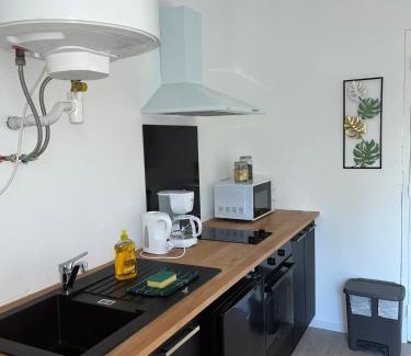 Vierzon Apartment | Studio tropical , vierzon , proche gare , tout confort