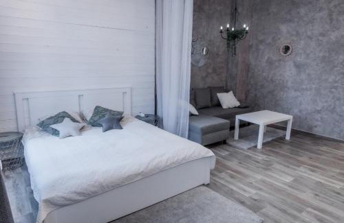 Kegums Apartment | Studio type apartment in Ķegums