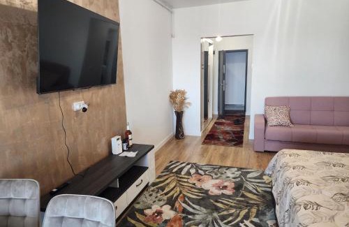 Eforie Nord Apartment | Studio unic Eforie Nord