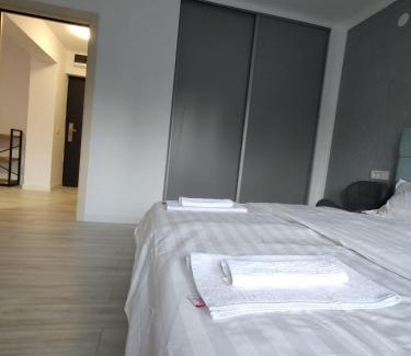 Vata de Jos Apartment | Studio Vata