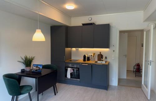 Svolvaer Apartment | Studio Vestermyrveien, Svolvær
