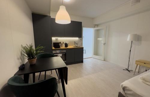 Svolvaer Apartment | Studio Vestermyrveien, Svolvær
