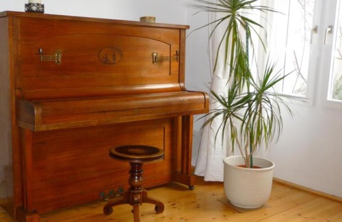 Wahring Apartment | Studio Währing