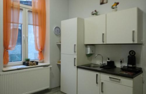 Przemysl Apartment | Studio w sercu miasta