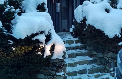 Nordic Estates House | STUDIO WITH FOUR SEASONS FINISHES