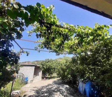 Permet Apartment | Studio with garden