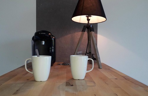 Roscoff Apartment | Studio with garden at the doors of the beach and thalasso ROSCOFF