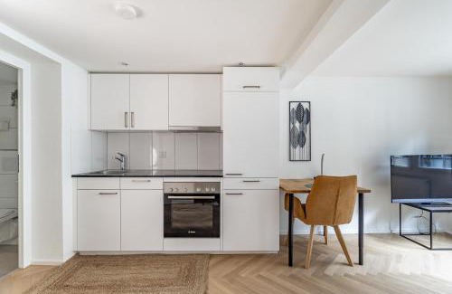 St. Gallen Apartment | Studio Wohnungen Altstadt Multergasse 20