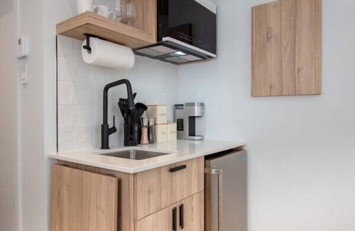 Plateau Mont Royal Apartment | Studio1/Plateau/St-Denis/Terraces/SelfCheck-In/AC