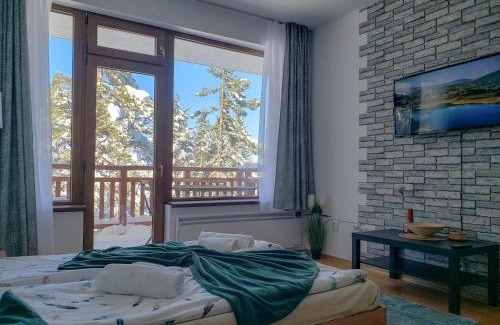Samokov Apartment | Studios and Apartments - Semiramida Gardens